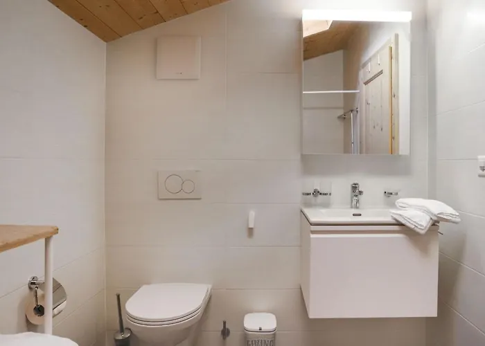 Appartement Les Savolaires 4 By Interhome Gryon